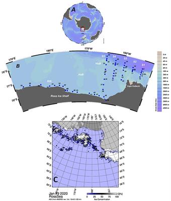 Carbonate system data tracing freshwater inflow into the Ross Sea through the eastern gate and along the Ross Ice Shelf (Antarctica)